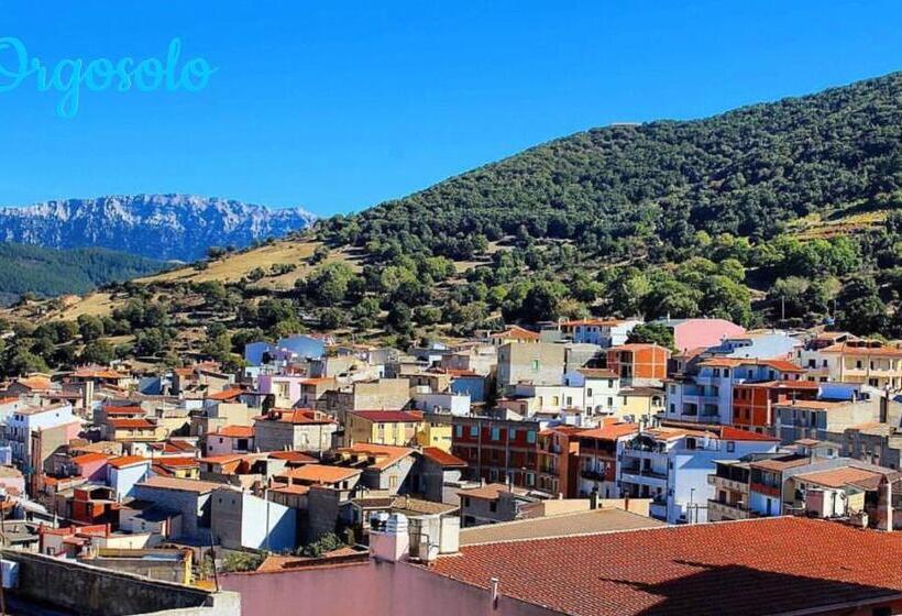 צימר Bed&breakfast Saturre