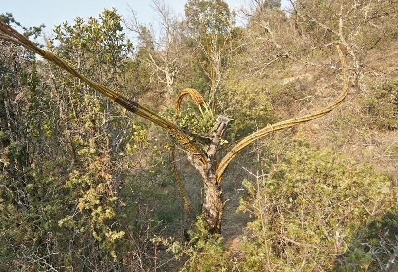 민박 Chambre D Hôtes Lou Couradou