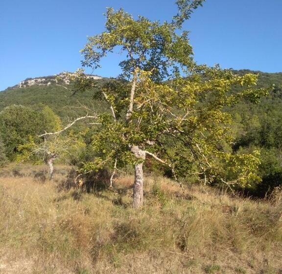민박 Chambre D Hôtes Lou Couradou