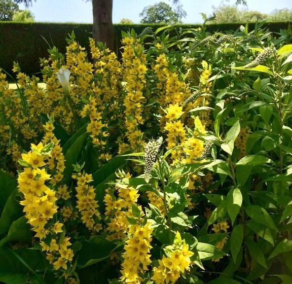 مبيت وإفطار La Crepelliere