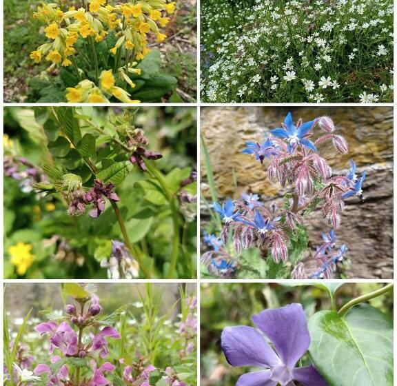 צימר Le Castellou