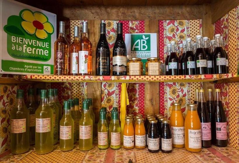 住宿加早餐  Le Degoutaud