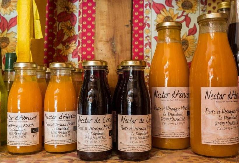 住宿加早餐  Le Degoutaud