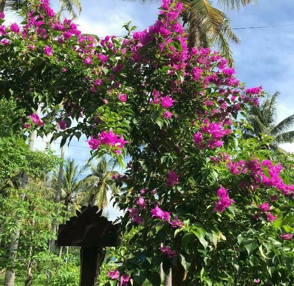 مبيت وإفطار Meno Madia Bungalows