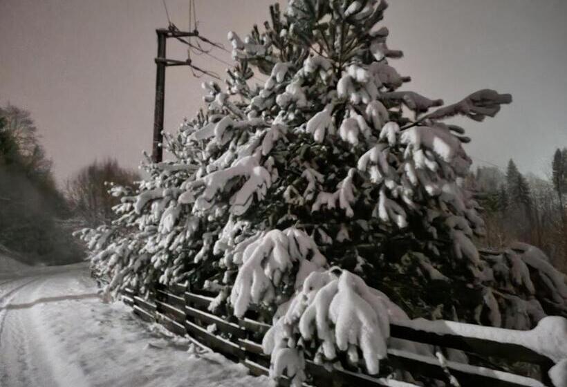 Casa Alin Poiana Mărului