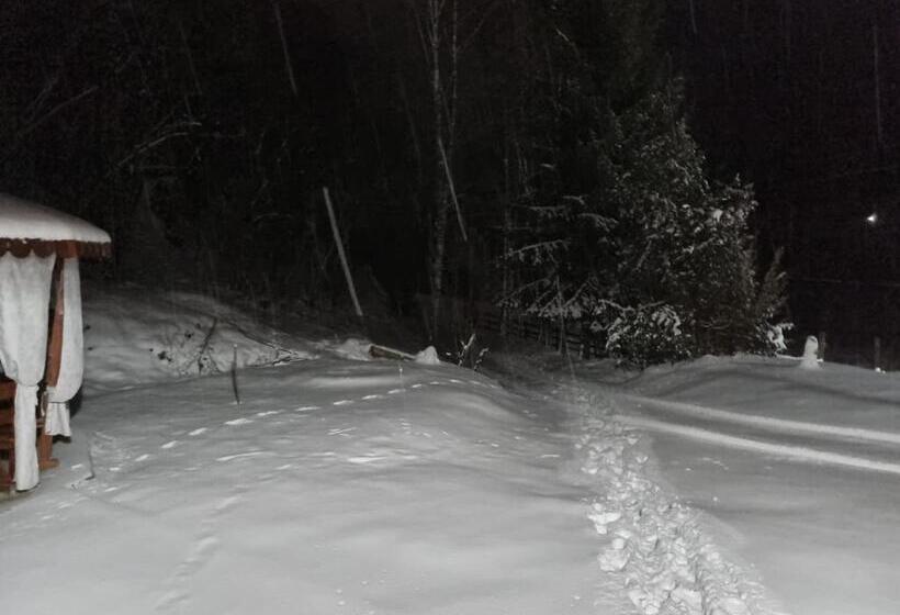 Casa Alin Poiana Mărului