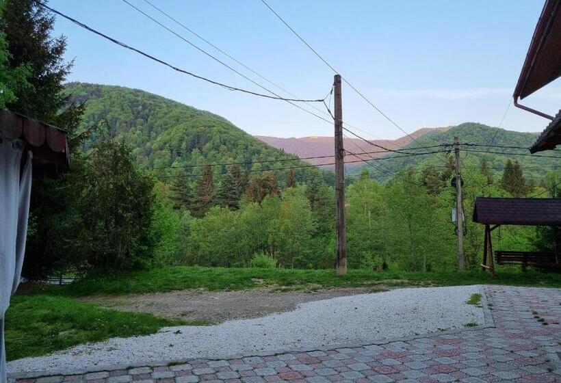 Casa Alin Poiana Mărului