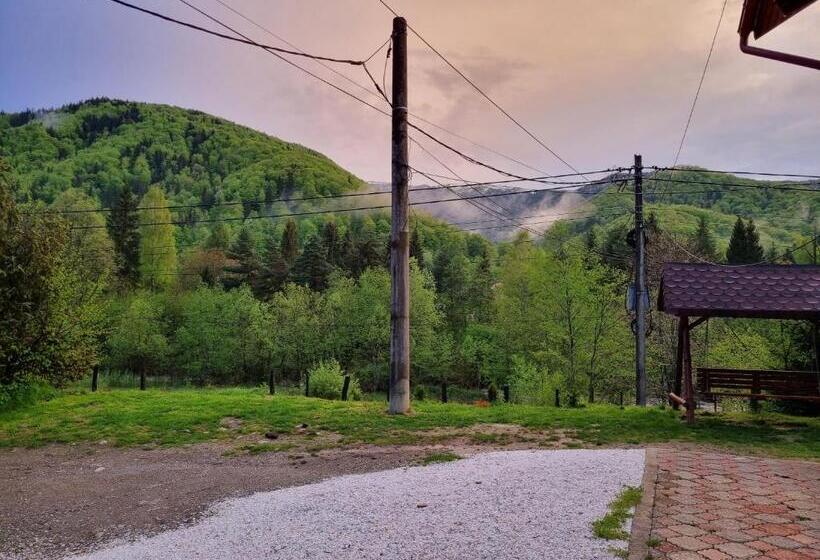 Casa Alin Poiana Mărului