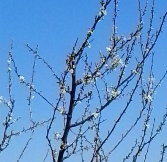 هتل Agriturismo Camera Dei Ladri