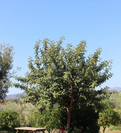 בית מלון כפרי Agriturismo L  Agrumeto