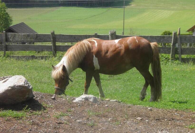 فندق Haus Hanshois