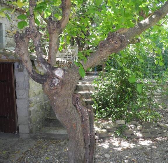 호텔 Le Vieux Mas Du Domaine De Pontet Fronzele