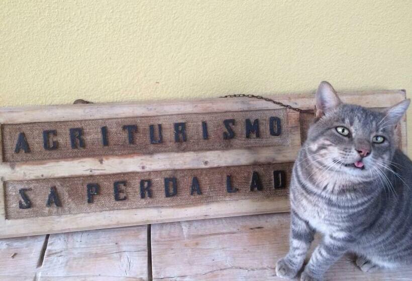 فندق Sa Perda Lada