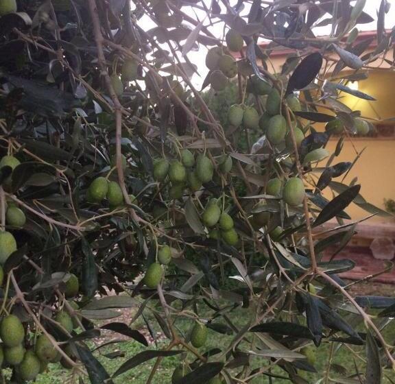 فندق Sa Perda Lada