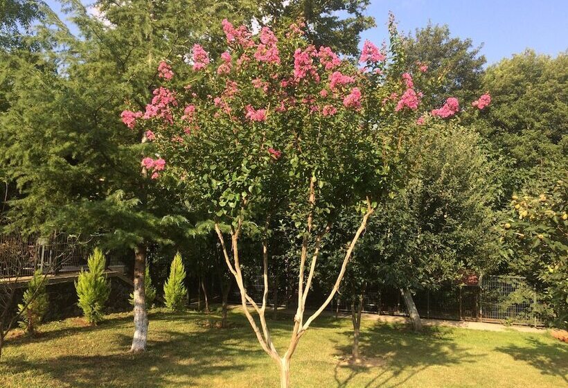 هتل Sarikonaklar Garden Village