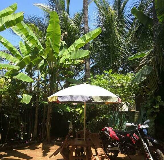 膳宿费 Alass Ga For Pets Lovers