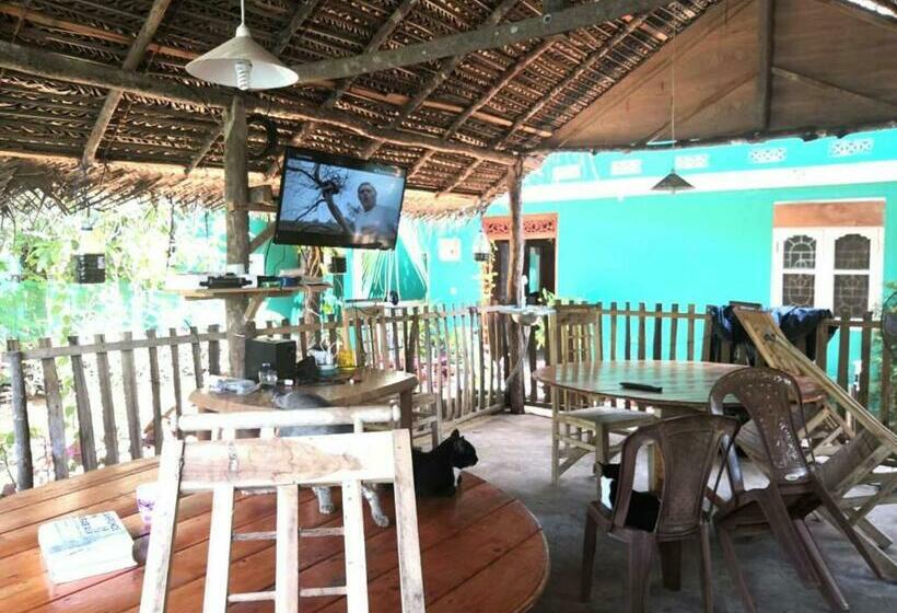 膳宿费 Alass Ga For Pets Lovers