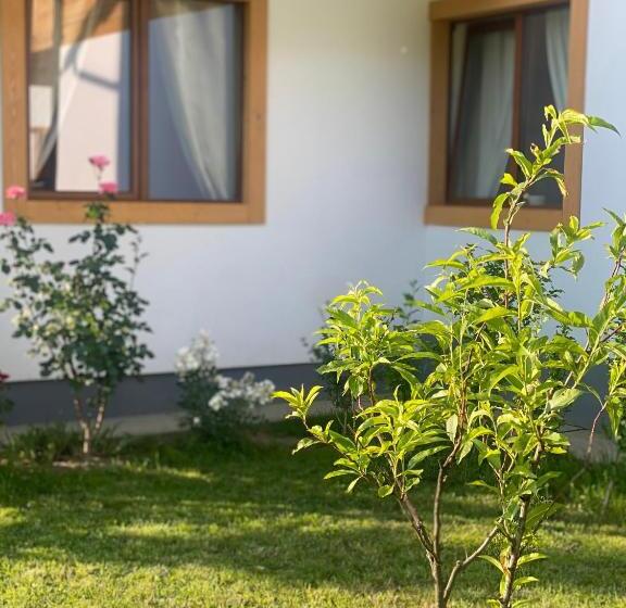 פנסיון Anahouse