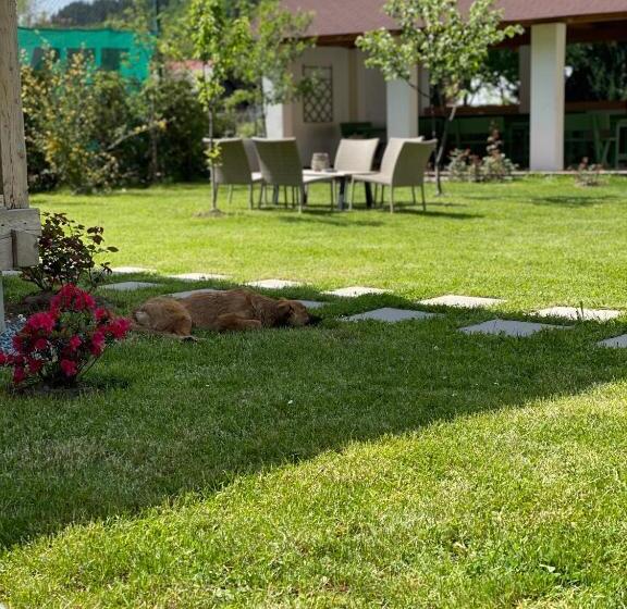 פנסיון Anahouse