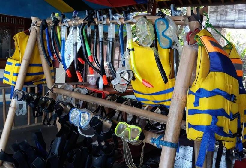 پانسیون Barracuda Beach Hostel