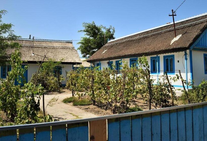 Пансион Casa Calin