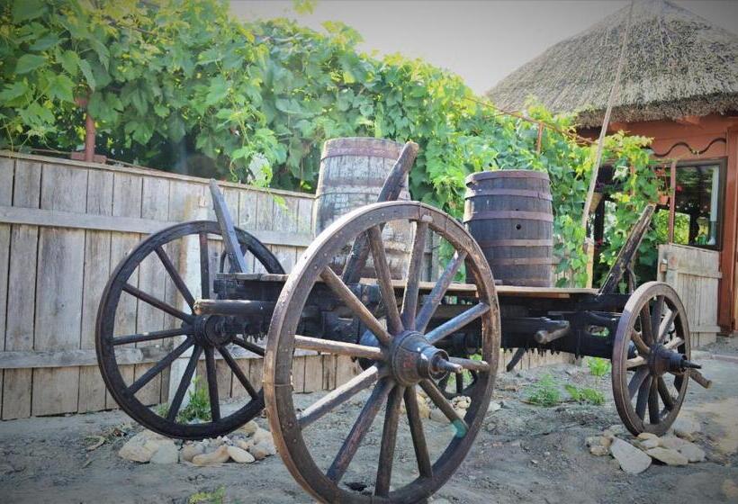 Пансион Casa Calin