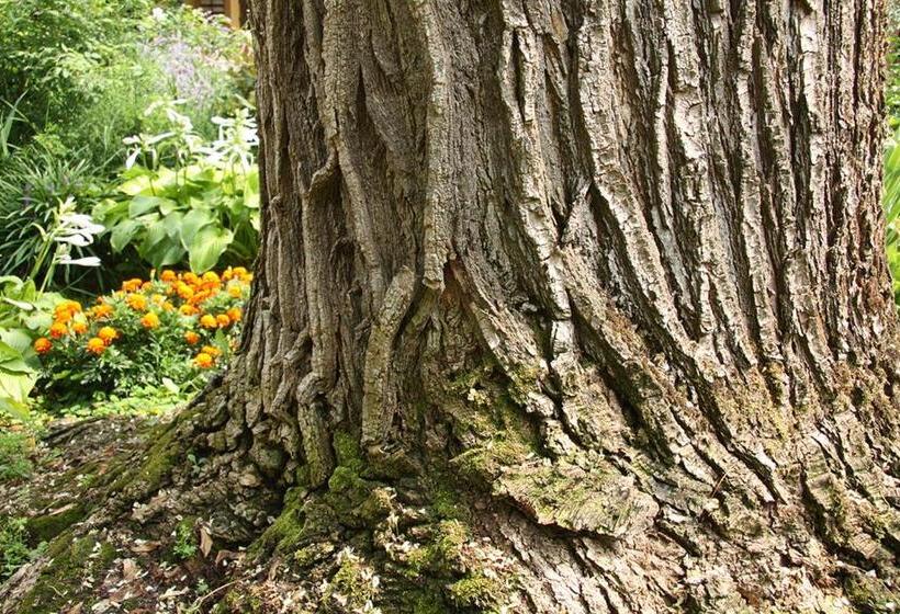 Пансион Casa Della Sofora