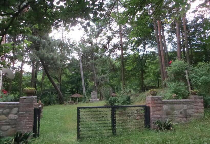 پانسیون Guest House Kamea