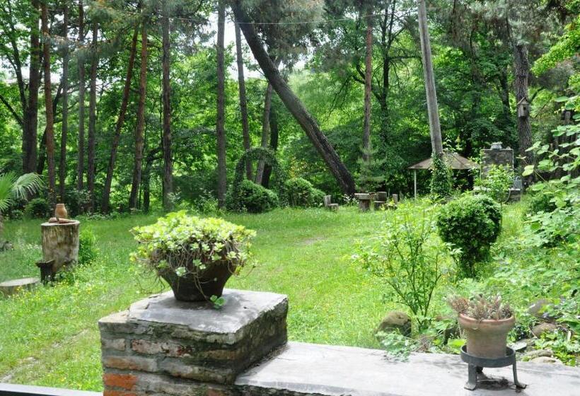 پانسیون Guest House Kamea