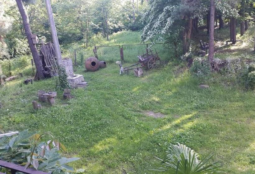 پانسیون Guest House Kamea