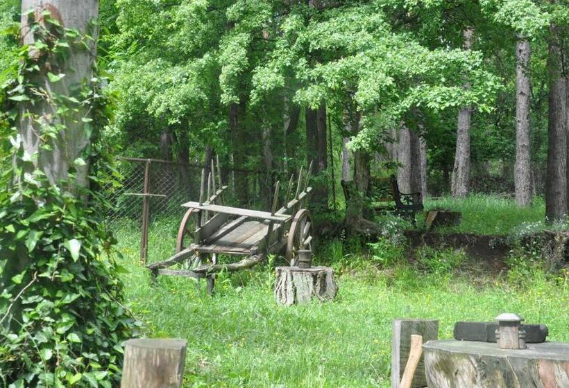 پانسیون Guest House Kamea