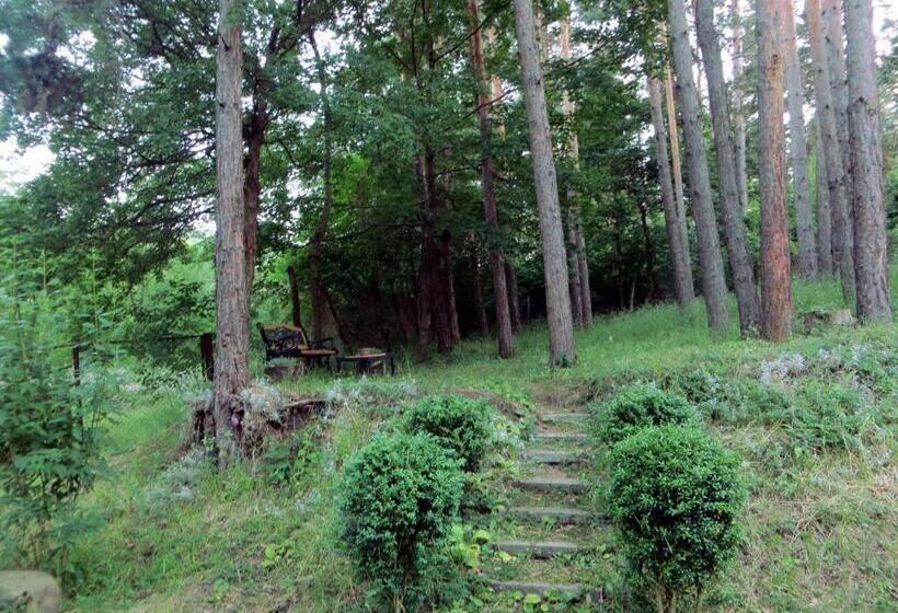 پانسیون Guest House Kamea