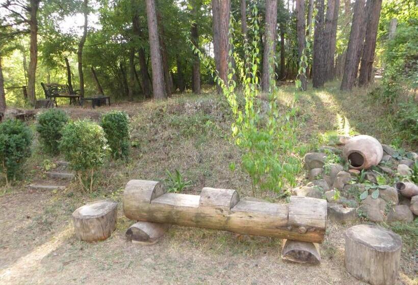 پانسیون Guest House Kamea