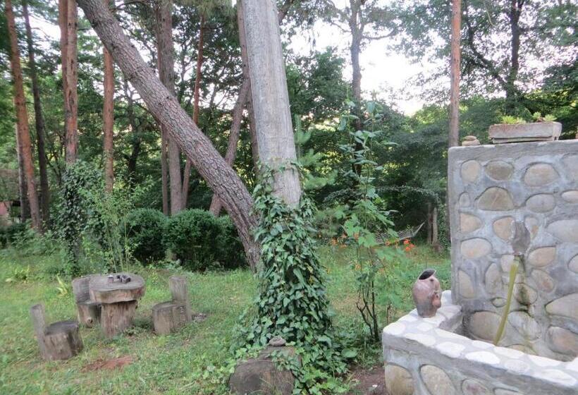 پانسیون Guest House Kamea