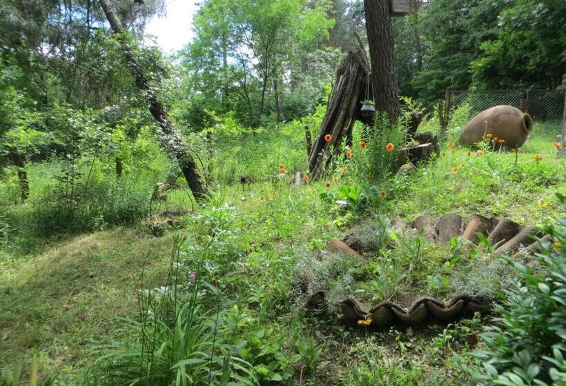 پانسیون Guest House Kamea