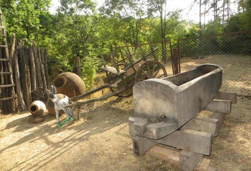 پانسیون Guest House Kamea