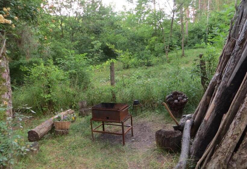 پانسیون Guest House Kamea