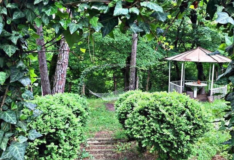 پانسیون Guest House Kamea