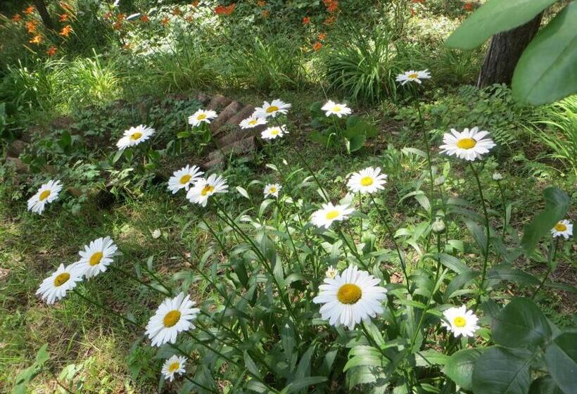 پانسیون Guest House Kamea