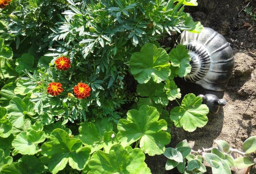 פנסיון Guest Rooms Kotvаta