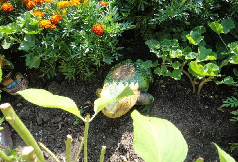 פנסיון Guest Rooms Kotvаta