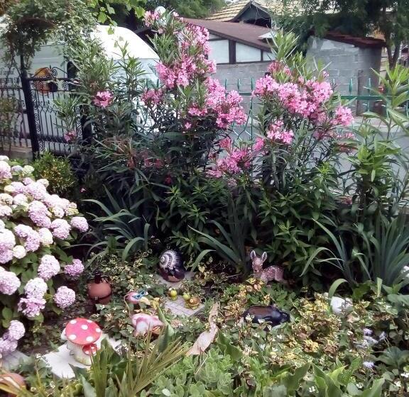 פנסיון Guest Rooms Kotvаta