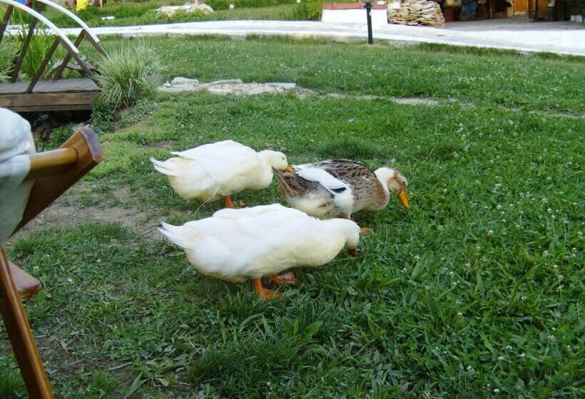 פנסיון Guesthouse Classic