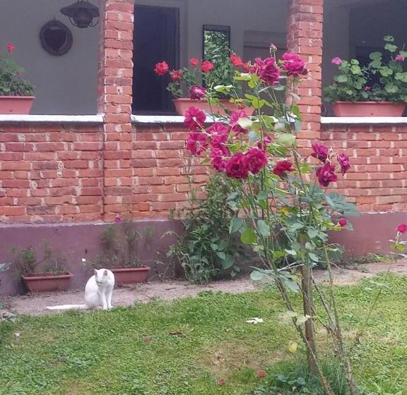 Пансион Misu Háza