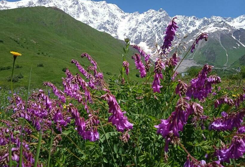 پانسیون Oliver