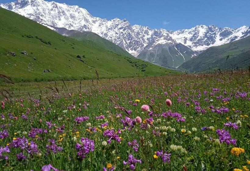 پانسیون Oliver