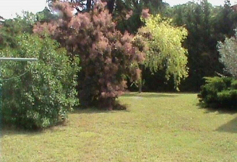 بنسيون Paradise House