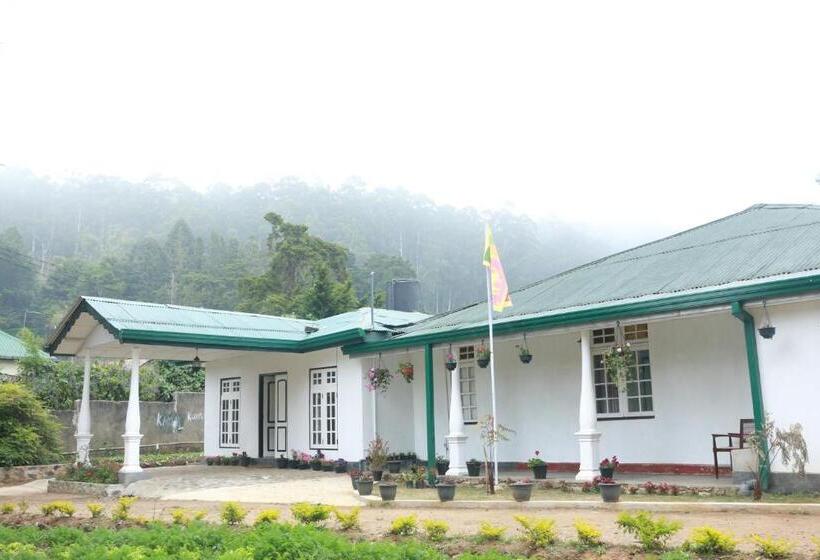 פנסיון Silver Meir Bungalow