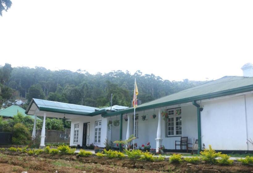 פנסיון Silver Meir Bungalow