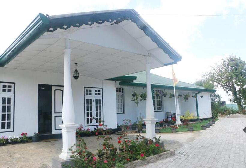 פנסיון Silver Meir Bungalow